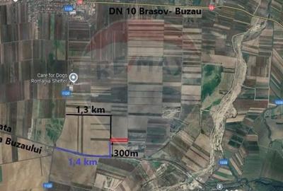 Teren de 13000 mp, în Prejmer - 2