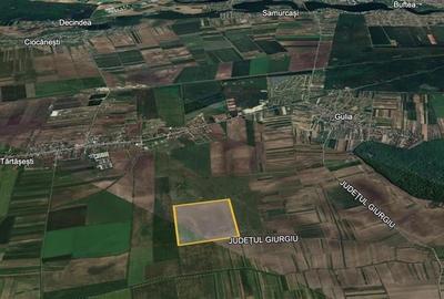 Vanzare teren agricol Tartasesti - Gulia, Dambovita - 4