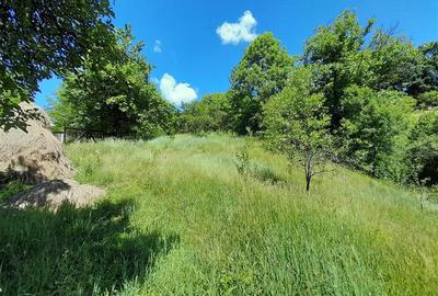 Casă individuală cu 4 camere cu Garaj în Central - 6