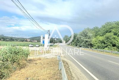 Teren intravilan de 3024 mp, în Moi - 6