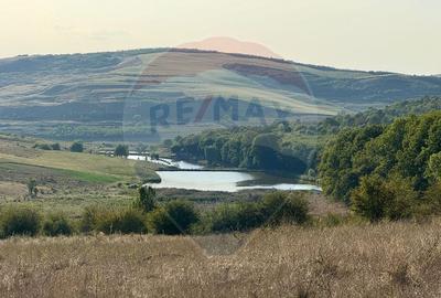 Teren cu parau | 50,000 mp | zona Caianu-Vama | la lizi... - 5