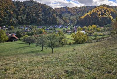 Spațiu comercial, în Central - 1