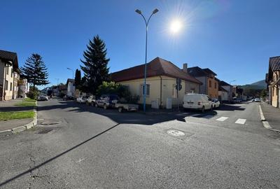 Casă individuală pet friendly in Blumana - 18