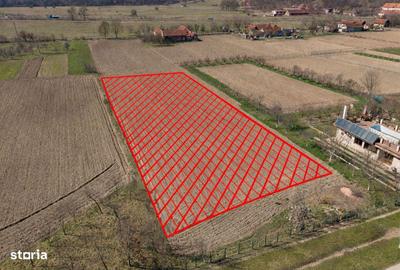 Spațiu comercial, în Remetea Mică - 6