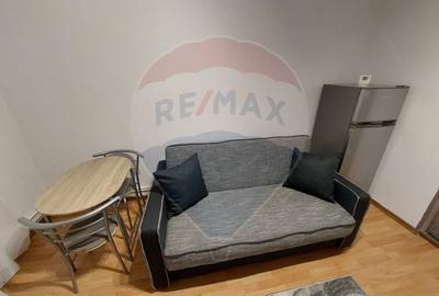 Apartament cu 1 camere în Noua - 5