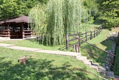 Casă cu 6 camere cu Teren 2267 Mp în Iedera de Sus - 12