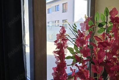 Apartament cu 2 camere semidecomandat în Borhanci - 10