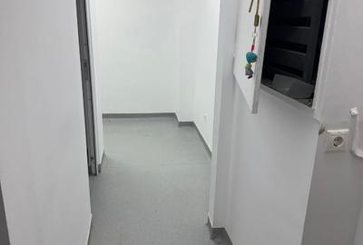 Stefan cel Mare x Viitorului - Inchiriere Spatiu Comercial - 3