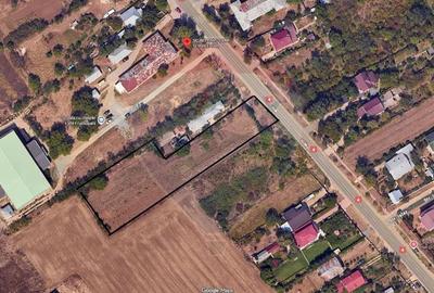 Teren extravilan de 15000 mp, în Frumușani - 2