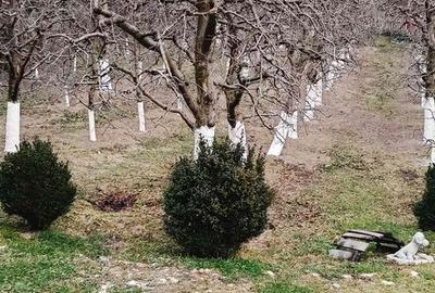 Casă cu 2 camere cu Teren 2800 Mp în Boțești - 14