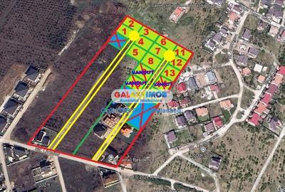 Teren Construcții intravilan de 718 mp, în Mogoșoaia - 6