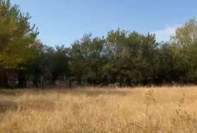 Teren de 5452 mp, în Cornățelu - 5