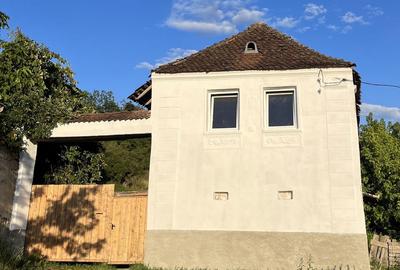 Casă cu 3 camere cu Teren 4700 Mp în Mercheașa - 5