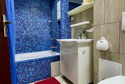 Apartament cu 2 camere spre inchiriere Bld Nicolae Balcescu, Universitate Apartament cu 2 camere spre inchiriere Bld Nicolae Balcescu, Universitate - 9