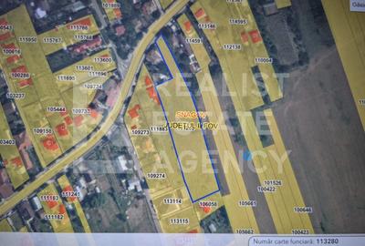 Teren Construcții intravilan de 5986 mp, în Ciofliceni - 3