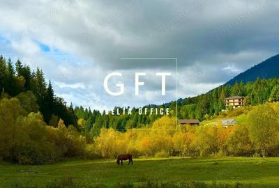 Teren de 6000 mp, în Colibița - 4