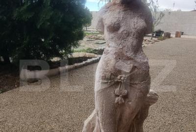 Proprietate multifunctionala,VILA,Teren 28000 mp+afacere pis - 9