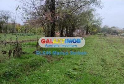 Vanzare teren intravilan Petresti - 5