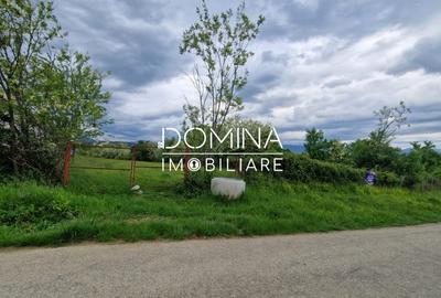 Teren Construcții intravilan de 2948 mp, în Tismana - 8