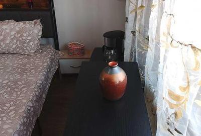 Garsonieră în Central