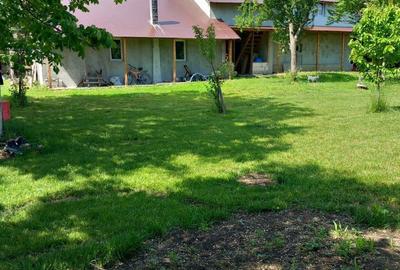 Casă cu 5 camere cu Teren 1900 Mp în Radu Vodă - 1