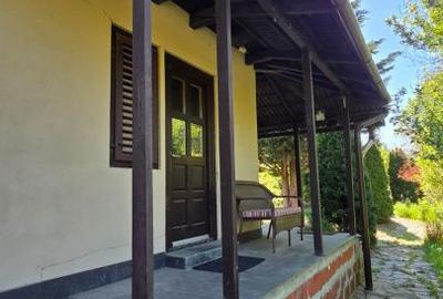 Casă cu 3 camere cu Teren 4149 Mp în Apa - 17