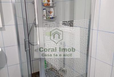 Inchiriere casa comuna 1 decembrie - 11