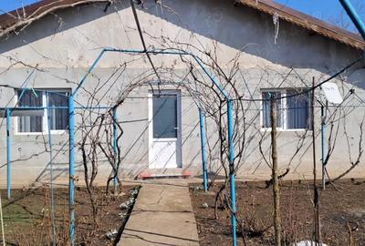 Casă cu Teren 960 Mp în Broșteni - 9