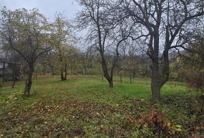 Teren Construcții intravilan de 500 mp, în Tomești - 4