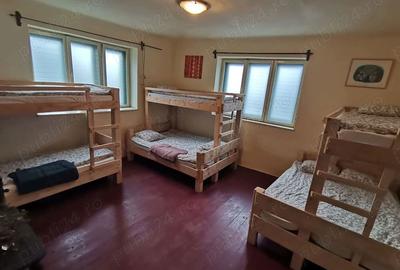 Casa de Vacan?a 24 locuri tip Hostel, Coste?ti, Hunedoara - 6
