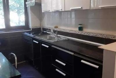 Apartament cu 2 camere - zona Centru  - Cuza Voda - Pet Friendly - 2