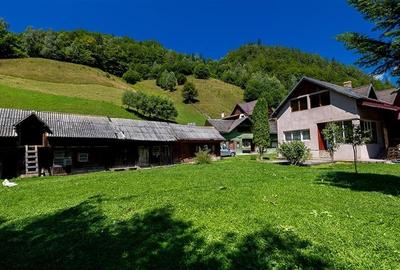 Oaza rustica: Case si teren generos de 9.400 mp in Dambovicioara, Arges Oaza rustica: Case si teren generos de 9.400 mp in Dambovicioara, Arges - 7