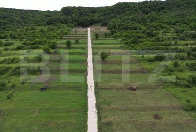 Parcele de 500,700,1000 mp in Aiud , autorizatie de constructie. - 2