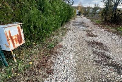 Teren 1000 mp intravilan Ciolpani-Piscu - 9