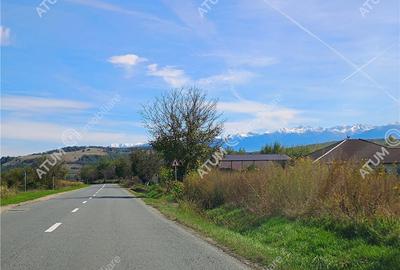 Teren de 461 mp, în Daia - 9