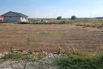 Teren de 540 mp, în Frumușani - 3