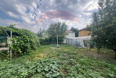 Casa -magazin Golesti - 9