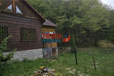 Casă cu 4 camere în Ighiel - 17