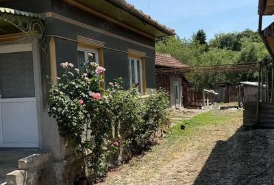 Casă cu 4 camere în Gurahonț - 1