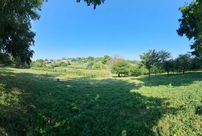 Spațiu comercial, în Dragomirești - 7