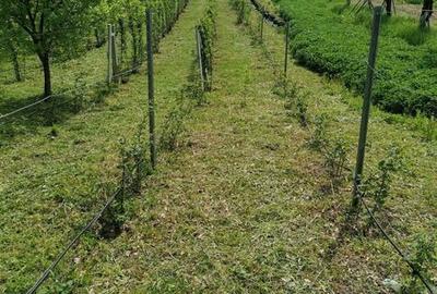 Teren de 2860 mp, în Central - 3