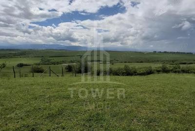 De vanzare, teren 11.500 mp Dealul Daii, Vedere panoramica spre mun?i ?i lac - 8