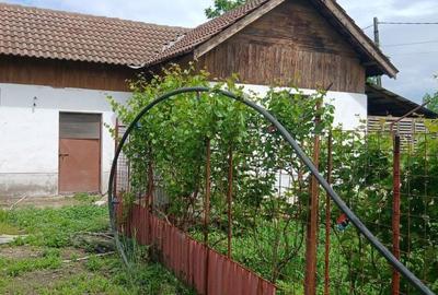 Spațiu comercial, în Șimnicu de Jos - 4