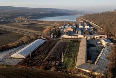 Fosta Ferma a Partidului de la Horgesti - de vanzare - 1