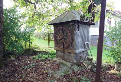 Casa cu aer nobil in Baia de Cris - 18