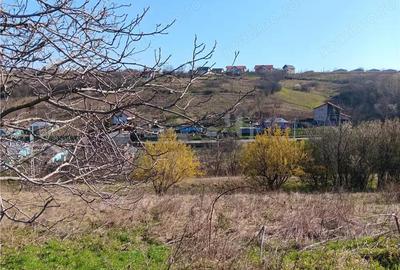 Teren de 83000 mp, în Vorovești - 1