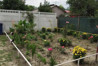 Casă în Serdanu - 5