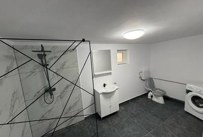Apartament cu 2 camere decomandat, mobilat în Steaua - 4