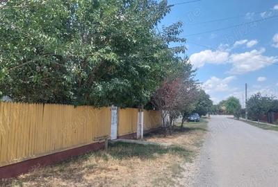 Teren de 636 mp, în Manasia - 3