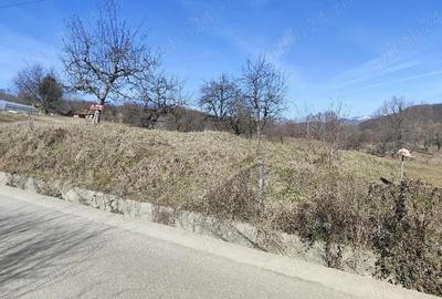 Teren de 1457 mp, în Micloșanii Mari - 4
